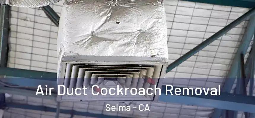  Air Duct Cockroach Removal Selma - CA