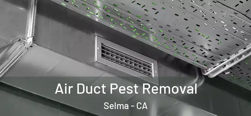Air Duct Pest Removal Selma - CA
