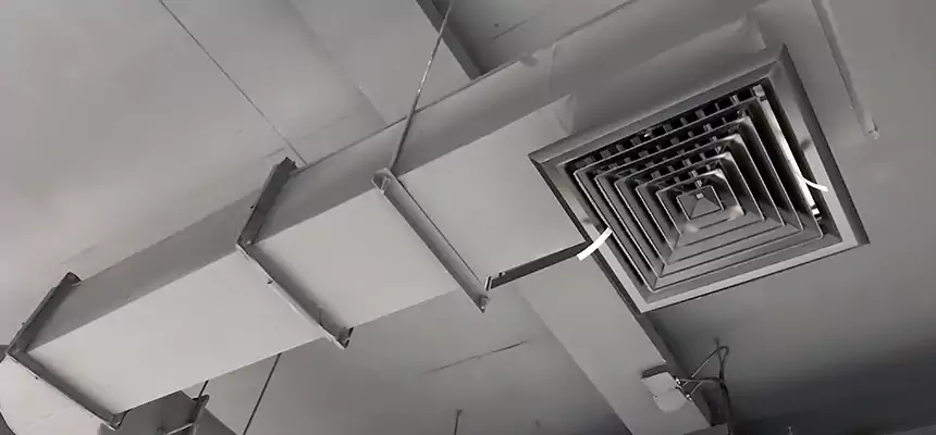 Our Pest Removal From Ducts Services in Selma, CA