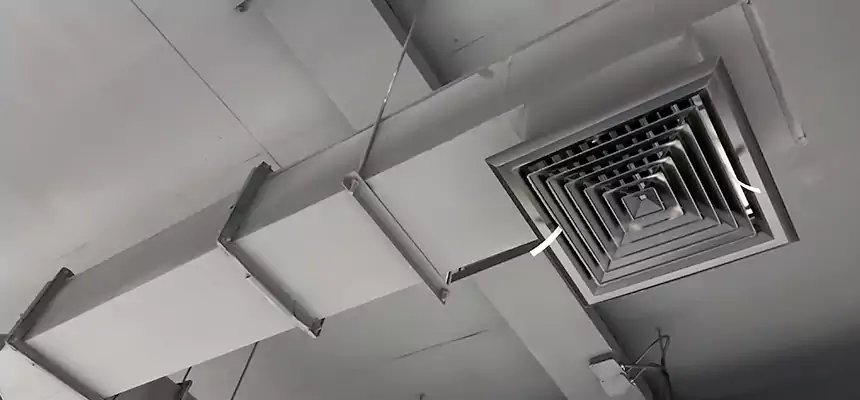 Our Rodent Droppings In Vents Services in Selma, CA