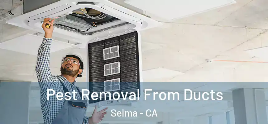  Pest Removal From Ducts Selma - CA