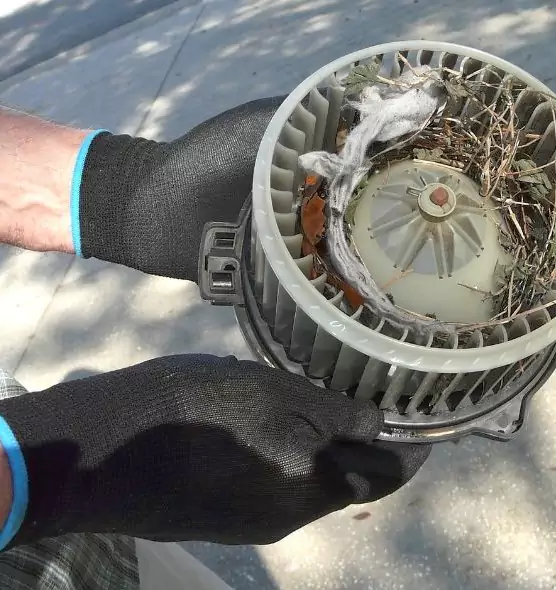 About Air Duct Rat Removal in Selma, CA