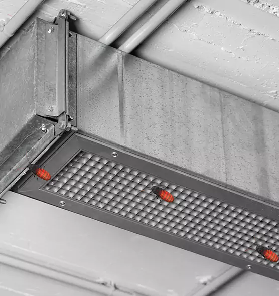 Affordable Insect Removal from Air Ducts in Selma, CA