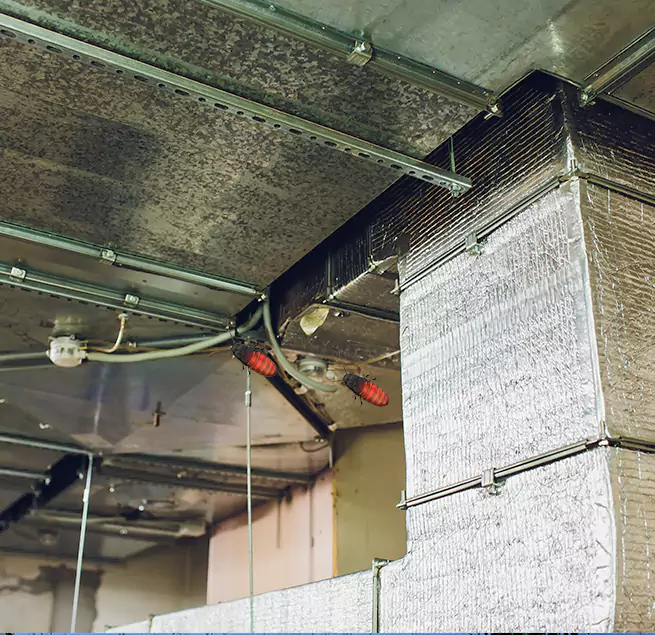 Why Homeowners & Businesses Trust Us in Selma, CA?