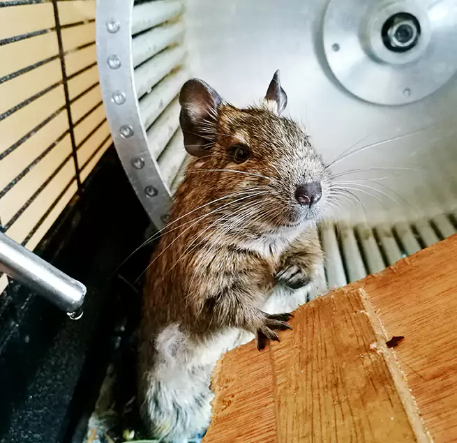 Why Homeowners & Businesses Trust Us Selma, CA?