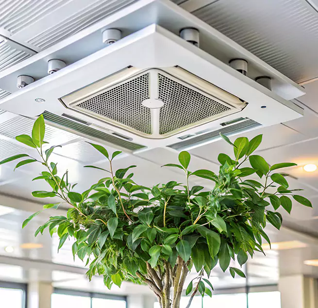 Why Homeowners & Businesses Trust Us in Selma, CA